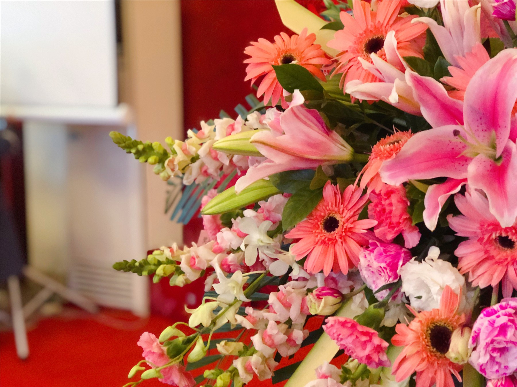 圖片關(guān)鍵詞